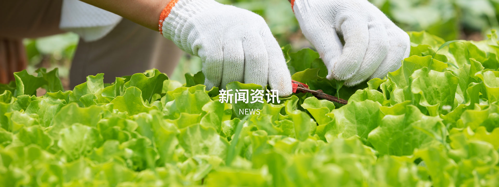 贝博官网首页:新闻资讯