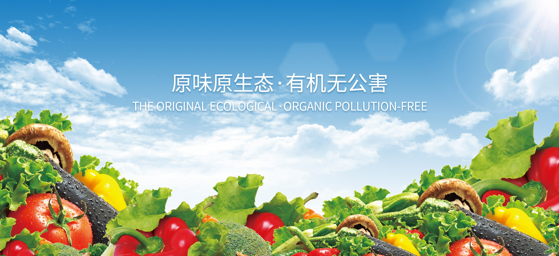 贝博足球官网